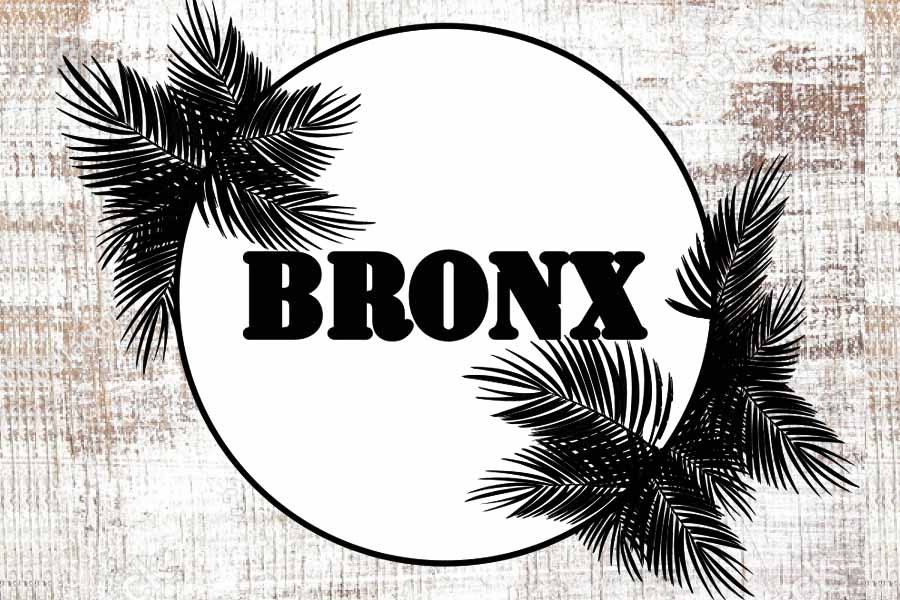 Bronx Ninove